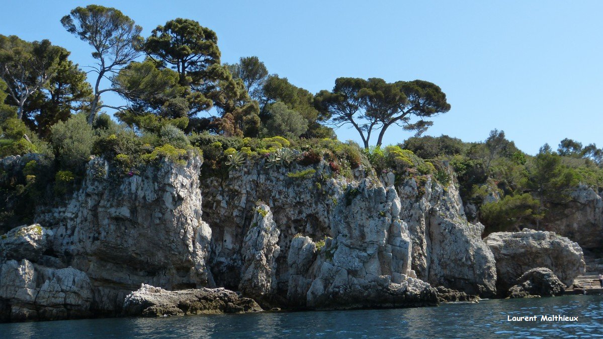 Les îles de Lérins Merci pour le kayak